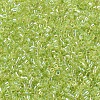 MIYUKI Delica Beads SEED-X0054-DB0174-3