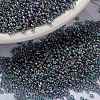 MIYUKI Round Rocailles Beads X-SEED-G009-RR2444-1