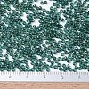 MIYUKI Round Rocailles Beads SEED-G007-RR0338-4