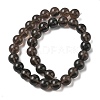 Natural Ice Obsidian Beads Strands G-P590-A01-12mm-02-5