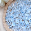 Lampwork Beads PW-WGAB230-07-1