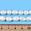 Natural Cultured Freshwater Pearl Beads Strands PEAR-N014-06I-5