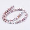 Natural Imperial Jasper Beads Strands X-G-E358-8m-01-3