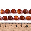 Natural Agate(Dyed & Heated) Beads Strands G-T139-92C-5