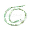 Natural Freshwater Shell Dyed Beads Strands SHEL-M018-13-03-2
