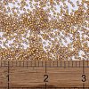 MIYUKI Delica Beads SEED-J020-DB2043-4