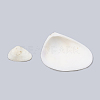 Sea Shell Beads SSHEL-T004-01-2