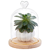 Heart Glass Dome Cover AJEW-WH0794-73-1