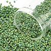 TOHO Round Beads X-SEED-TR15-2633F-1