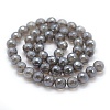 Natural Grey Agate Beads Strands G-P385-02-8mm-2