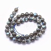 Natural Labradorite Beads Strands G-O166-08-10mm-2