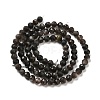 Natural Silver Sheen Obsidian Beads Strands LS-G-E608-A02-C-2