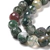 Natural Indian Agate Beads Strands G-E571-24B-4