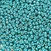 TOHO 6/0 Round Beads SEED-TR06-PF0569-3