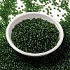 MIYUKI Round Rocailles Beads X-SEED-G008-RR0158F-2