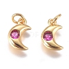 Brass Micro Pave Cubic Zirconia Charms ZIRC-G168-56G-02-1
