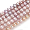 Natural Cultured Freshwater Pearl Beads Strands PEAR-I007-07X-05C-2