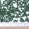 MIYUKI Round Rocailles Beads SEED-JP0008-RR2048-4