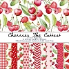 24Pcs 12 Styles Cherry Strawberry Watermelon Furit Scrapbook Paper Pads PW-WGE3A59-01-1