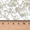 12/0 Electroplate Glass Seed Beads SEED-Q003-S-4