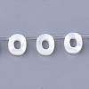Natural Sea Shell Beads SHEL-T012-60O-1