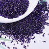 MIYUKI Delica Beads SEED-X0054-DB0609-1