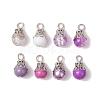 Glass Pendants PALLOY-JF03284-05-1