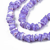 Natural Freshwater Shell Beads Strands SHEL-N003-23-B01-3