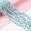 Handmade Evil Eye Lampwork Beads Strands LAMP-F024-01B-03-2