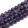 Natural Amethyst Beads Strands G-R446-6mm-20-1