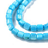 Natural Freshwater Shell Beads Strands SHEL-N003-33-A03-3