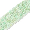 Natural Chrysoprase Beads Strands G-P542-A04-02-1