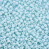 6/0 Glass Seed Beads SEED-T005-14-B19-3