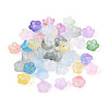 Frosted Transparent Acrylic Beads OACR-N137-72M-2