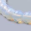 Opalite Beads Strands G-S259-48-12mm-3