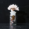 Natural Rose Quartz Chip Display Decorations DJEW-PW0021-39B-1