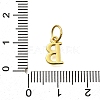 925 Sterling Silver Pendants STER-R011-07G-B-3