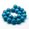 Synthetic Turquoise Beads Strands G-E437-01-2