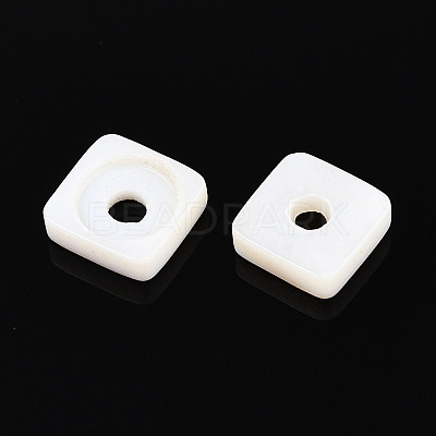 Natural Freshwater Shell Beads BSHE-T014-16-1