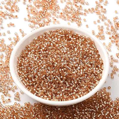 Glass Seed Beads X-SEED-S042-04B-17-1