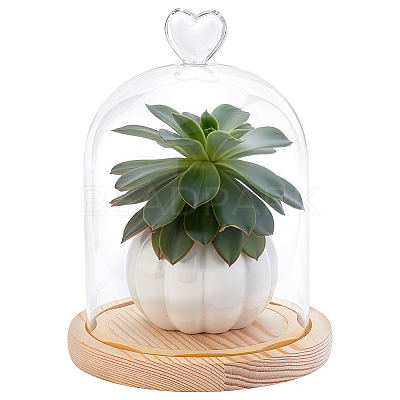 Heart Glass Dome Cover AJEW-WH0794-73-1