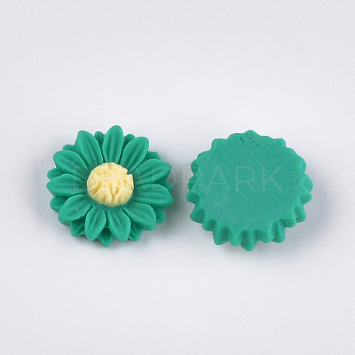 Resin Cabochons CRES-T010-60A-1