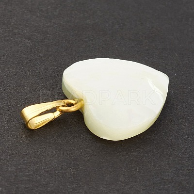 Natural Trochid Shell/Trochus Shell Pendants SSHEL-K027-12-1