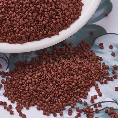 MIYUKI Delica Beads SEED-X0054-DB0794-1
