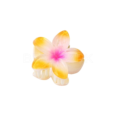 Plastic Claw Hair Clips LS-PW-WG07B2B-10-1