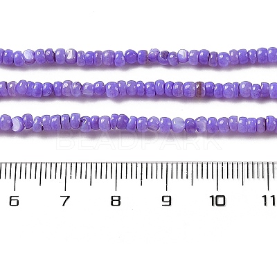 Natural Freshwater Shell Beads Strands SHEL-P017-01B-04-1