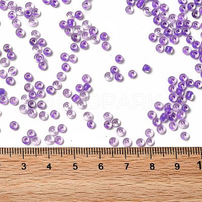 6/0 Transparent Glass Seed Beads SEED-F003-03A-09-1