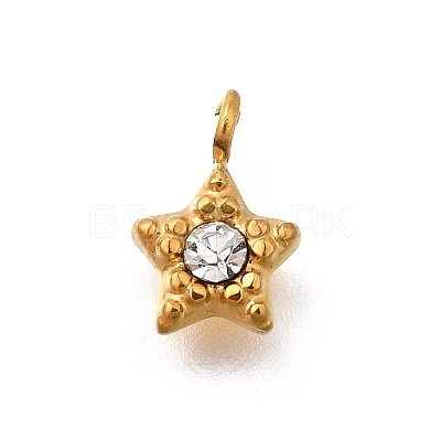 304 Stainless Steel Charms STAS-R159-58G-05-1