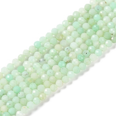 Natural Chrysoprase Beads Strands G-P542-A04-02-1
