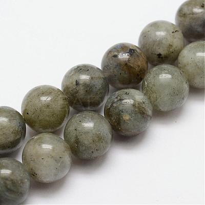 Natural Labradorite Bead Strands G-O155-05B-10mm-1